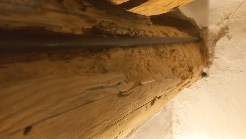 Restauración y Rehabilitación en el Histórico Molino de Bronchales