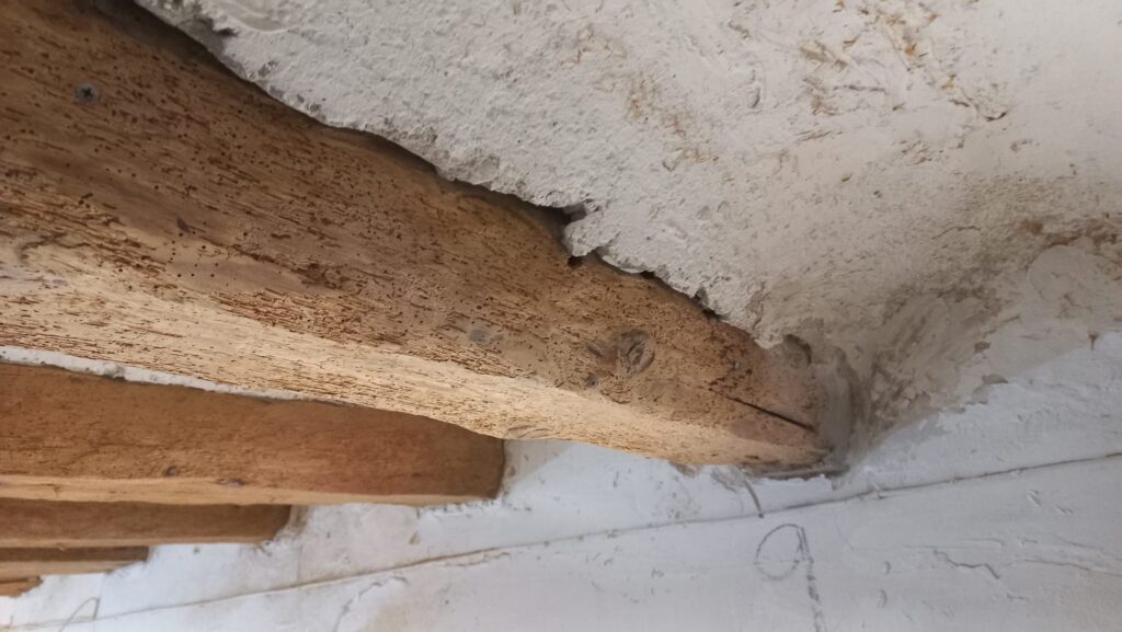 Restauración y Rehabilitación en el Histórico Molino de Bronchales