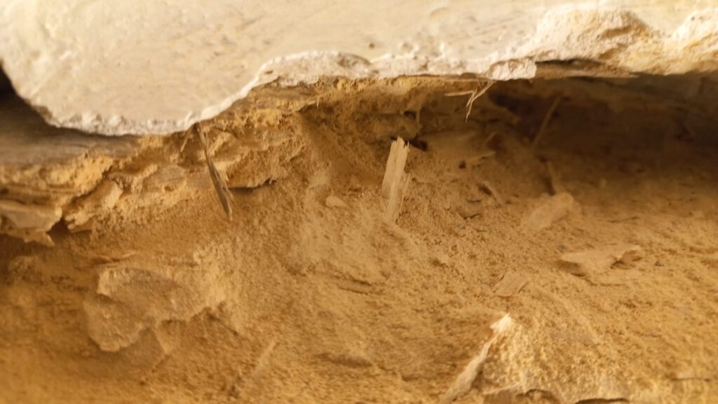 Restauración y Rehabilitación en el Histórico Molino de Bronchales