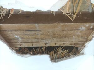 SOS Madera tratamientos para la humedad en la madera