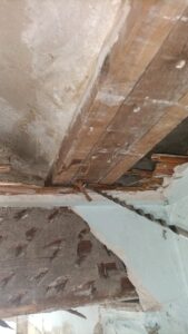 SOS Madera Análisis estructurales Valencia