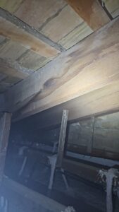 SOS Madera Análisis estructurales Valencia