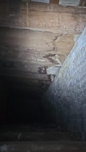 SOS Madera Análisis estructurales Valencia