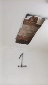 SOS Madera Análisis estructurales Valencia