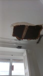 SOS Madera Análisis estructurales Valencia