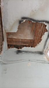 SOS Madera Análisis estructurales Valencia