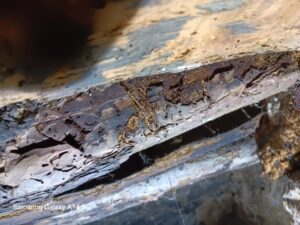 SOS Madera Valencia tratamientos para carcoma