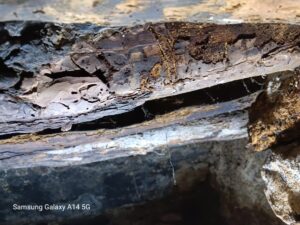 SOS Madera Valencia tratamientos para carcoma