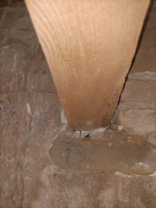 SOS Madera Valencia tratamientos para termitas
