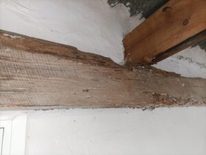 SOS Madera Análisis estructurales Valencia