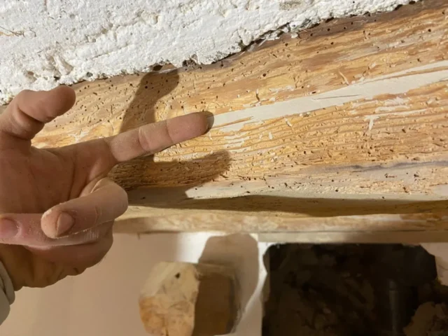 Molino-historico-en-la-poblacion-de-Bronchales-Restauracion-estructural-de-vigas-154