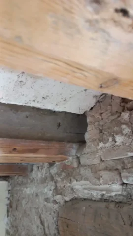 SOS-Madera-Rehabilitacion-de-vigas-estructurales-en-calle-Espartero-Valencia-005