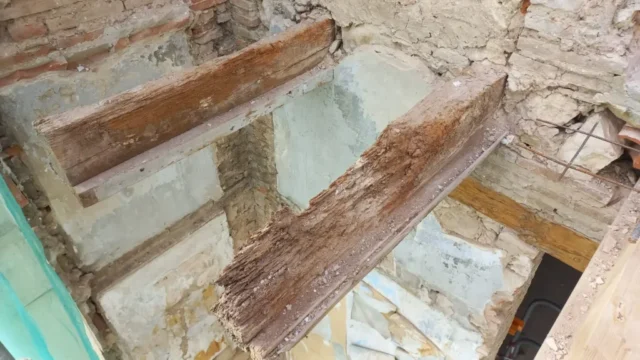 SOS-Madera-Rehabilitacion-de-vigas-estructurales-en-calle-Espartero-Valencia-022